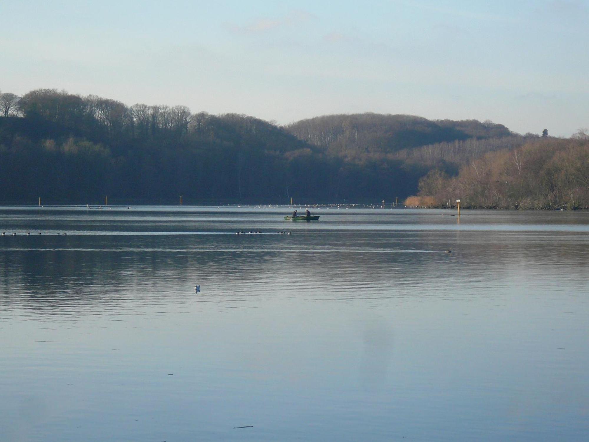 Phönix Nähe Baldeneysee *
